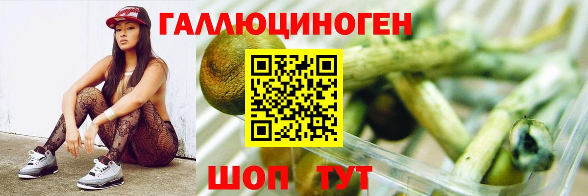 Псилоцибиновые грибы MAGIC MUSHROOMS  Вход с VPN  Дагестанские Огни 